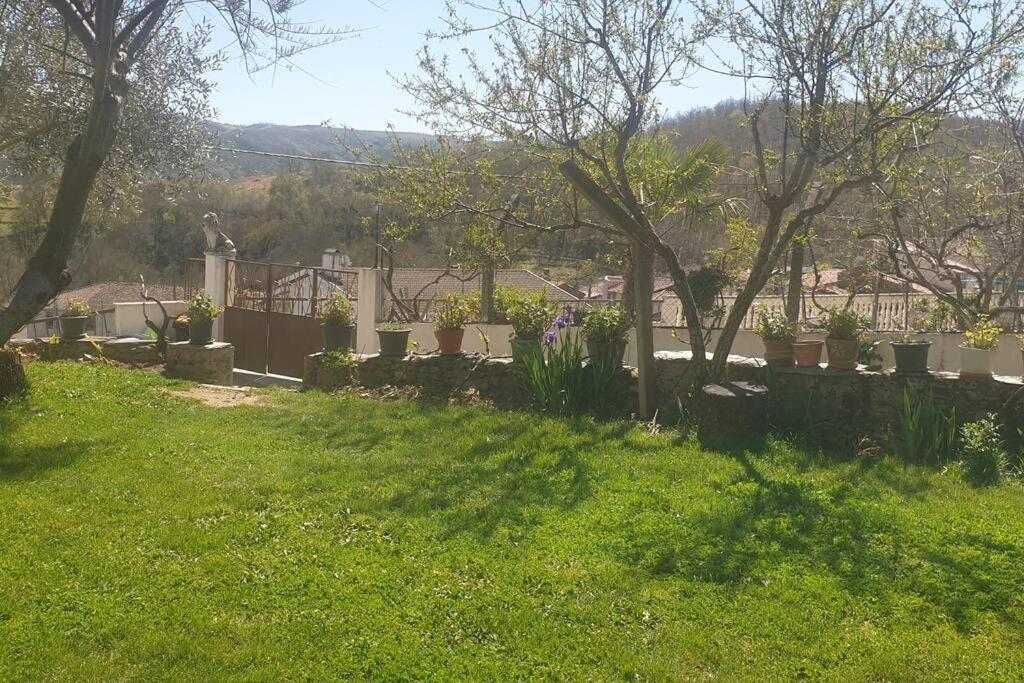 Casa Restaurante O Pites Villa Alfaiao Dış mekan fotoğraf