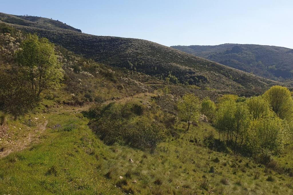 Casa Restaurante O Pites Villa Alfaiao Dış mekan fotoğraf